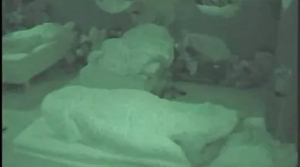 تمارس أمي افلام سكس امهات عرب أكثر أشكال اللعين المنحرفة