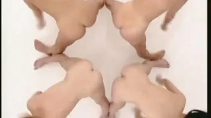 XXX سكس عرب محارم مقطع للزوجة والزوج
