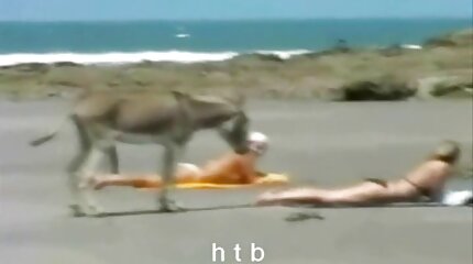 التحديدات