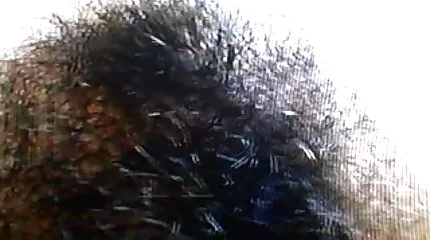 يظهر بوسها محارم سكس عربي