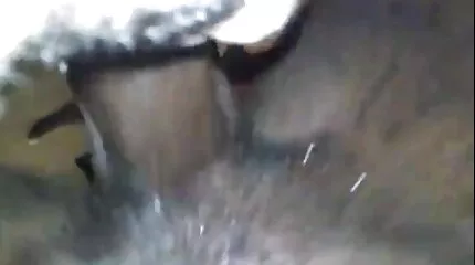 يرش وجهه افلام سكس عربي محارم بالحيوانات المنوية