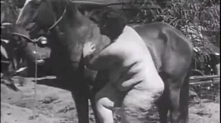 اللسان لرئيسه بورنو امهات عرب